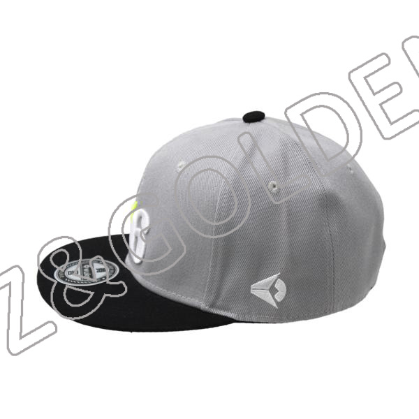 Promotional Baseball Cap Factory -
6 Panel 3D Printed Cotton Baseball snapback hat - FUZHI